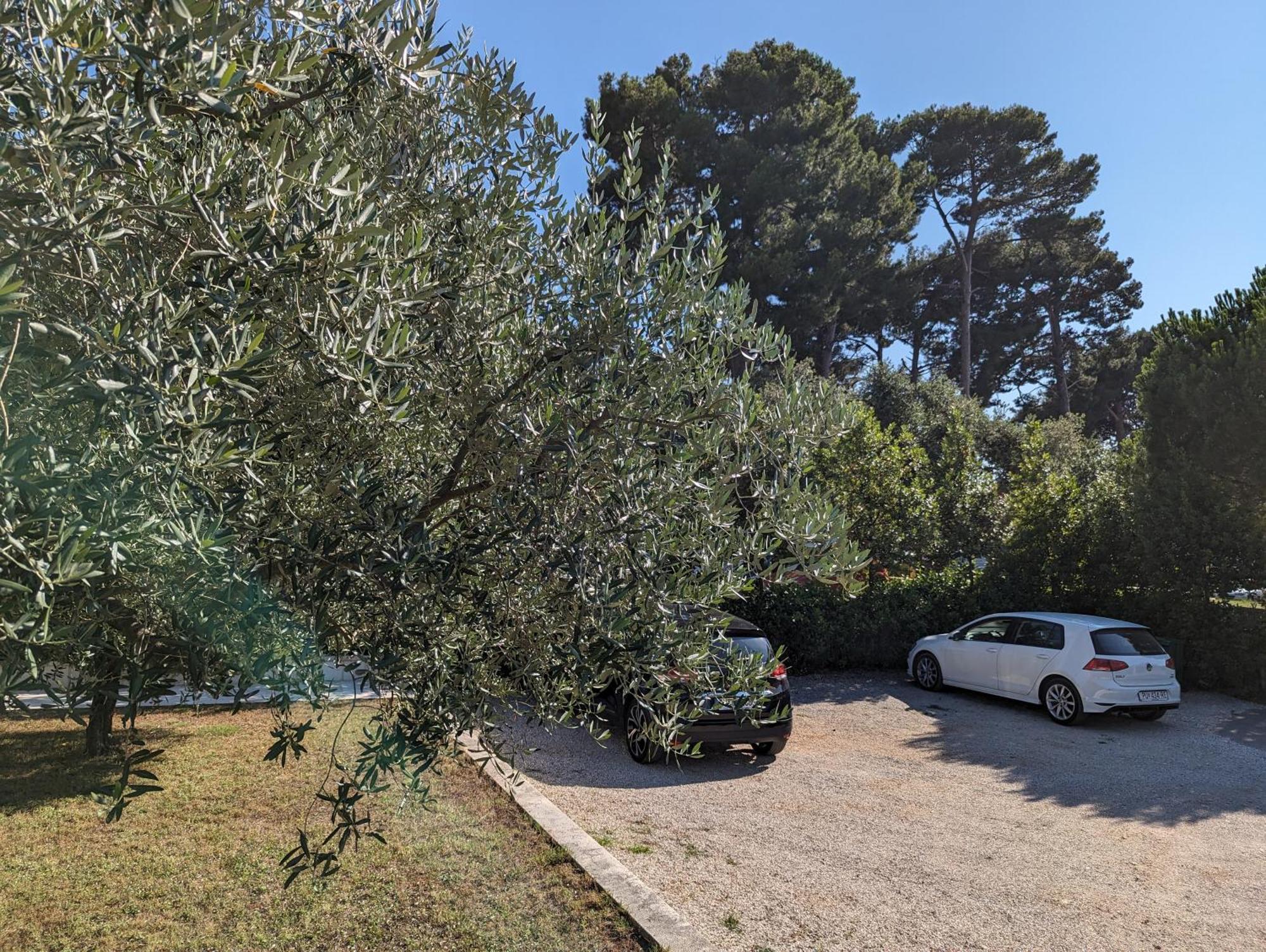 The Best Sunset Apartments רוביני מראה חיצוני תמונה